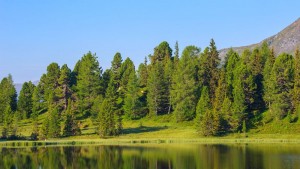 Nockberge_Bergsee_Zirben