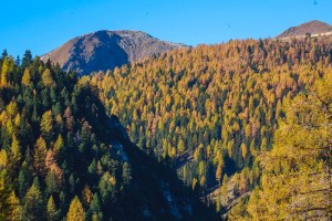 Nockberge_Panorama